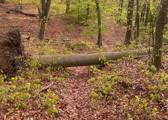 Apartment Altstadt Quartier *